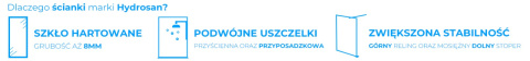 ŚCIANKA PRYSZNICOWA SH07E ZŁOTA 110 CM 8 MM